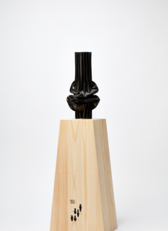 Lomekwian Series Spine